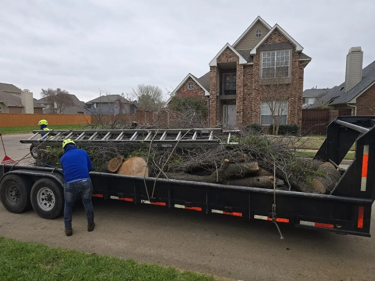 Expert Tree Pest Control with proper safety equipment in Barnard